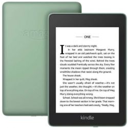 Amazon Kindle Paperwhite 4 Wi-Fi 8GB Sage (Stav A)